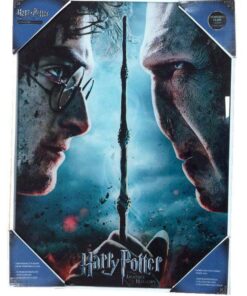 Harry Potter Poster Di Vetro Harry & Voldemort 30 X 40 Cm Sd Toys