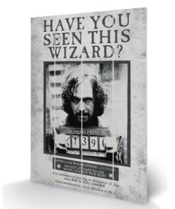 HARRY POTTER SIRIUS WANTED WOOD PRINT STAMPA SU LEGNO PYRAMID INTERNATIONAL