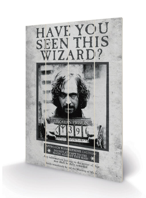 HARRY POTTER SIRIUS WANTED WOOD PRINT STAMPA SU LEGNO PYRAMID INTERNATIONAL