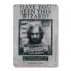 Harry Potter Targa in Metallo "Hai Visto Questo Mago?" 15 x 21 Cm Logoshirt