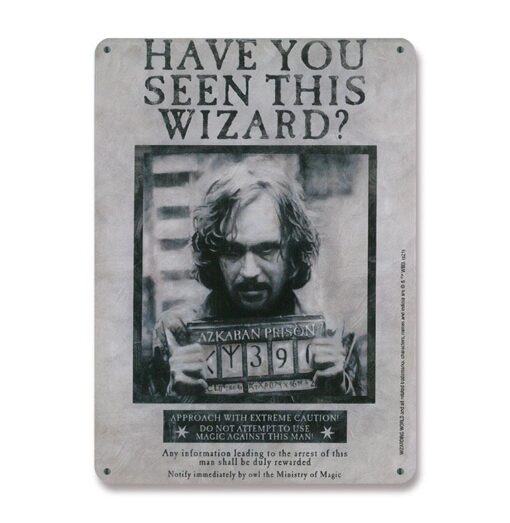 Harry Potter Targa in Metallo "Hai Visto Questo Mago?" 15 x 21 Cm Logoshirt