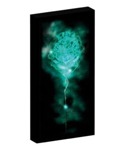 Harry Potter Tela Poster (with Light) Joy Toy (it)