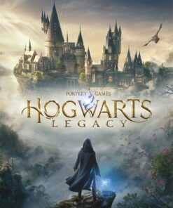 Hogwarts Legacy Poster Pack Wizarding World Universe 61 X 91 Cm  Pyramid International