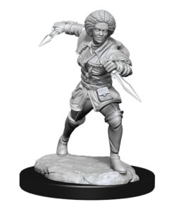 Magic The Gathering Unpainted Miniature Kaya Case (6) Wizkids