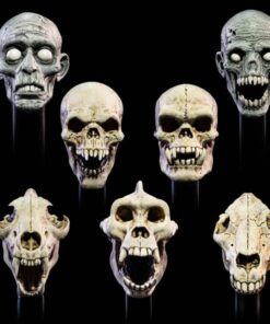 Mythic Legions: All Stars 6 Action Figura Accessorys Undead Heads Pack Four Horsemen Toy Design
