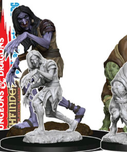 Pathfinder Dcum Annis Hag & Green Hag Miniature E Modellismo Wizkids