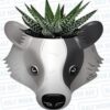Plnthp02 - Harry Potter- Plant Pot - Harry Potter (tassorosso) Gadget