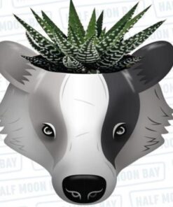 Plnthp02 - Harry Potter- Plant Pot - Harry Potter (tassorosso) Gadget