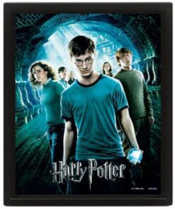 POSTER 3D LENT HARRY POTTER FENICE - GADGET