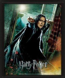 POSTER 3D LENT HARRY POTTER SNAPE - GADGET