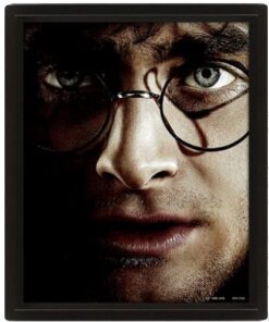 POSTER 3D LENT HARRY POTTER VOLDEMORT - GADGET