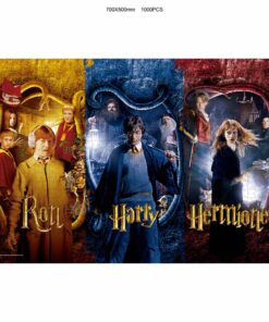 Sd Toys Harry Potter Harry Ron E Hermione 1000 Pezzi Puzzle Puzzle
