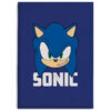 Sonic Coperta In Pile Sega