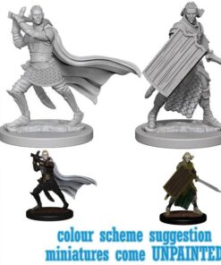 Wizkids Pathfinder Dcum Elf Male Paladin Gioco Di Ruolo