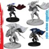 Wizkids Pathfinder Dcum Human Female Paladin Gioco Di Ruolo