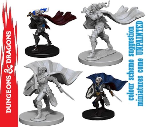Wizkids Pathfinder Dcum Human Female Paladin Gioco Di Ruolo