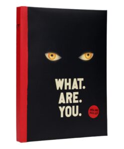 It Agenda Con Light What Are You Sd Toys