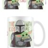 Star Wars The Mandalorian Tazza The Bambino Con Me Pyramid International